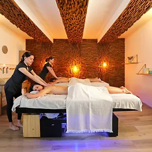 grand-hotel-negre-coste.aixenprovencehotels.org/